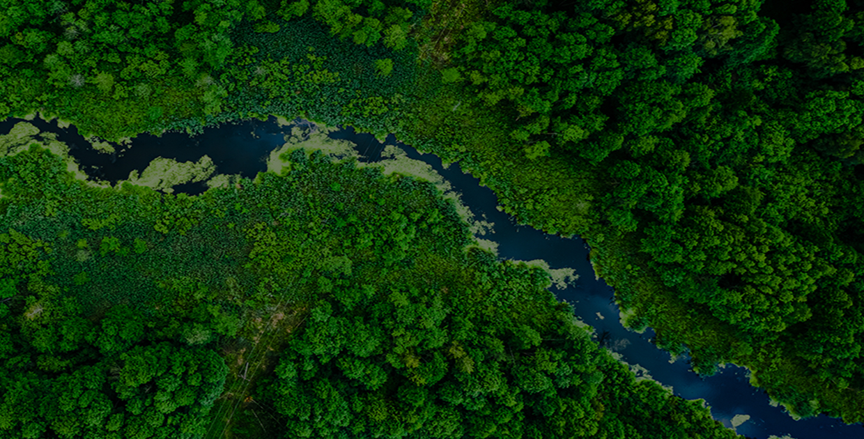 Banner stack image 1