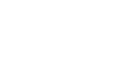Netlock logo