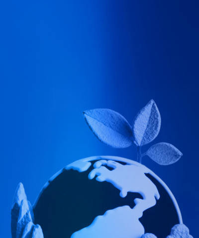 Development Image