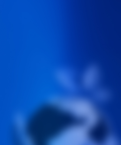 Development Image