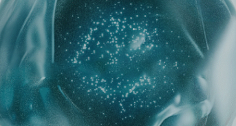 Ingredients Image