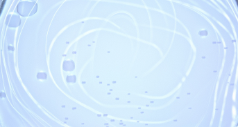 Ingredients Image