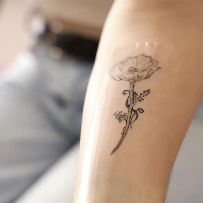 post paragraph image