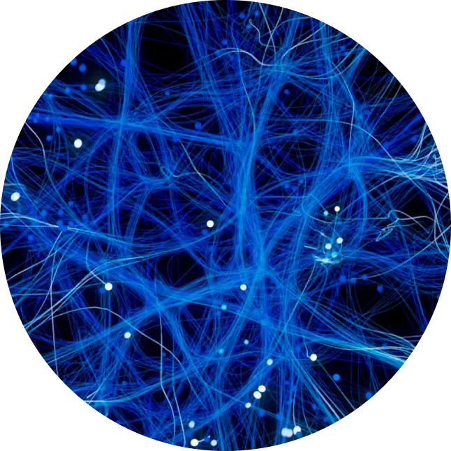 aqua-posae-filiformis