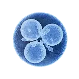 tribiome